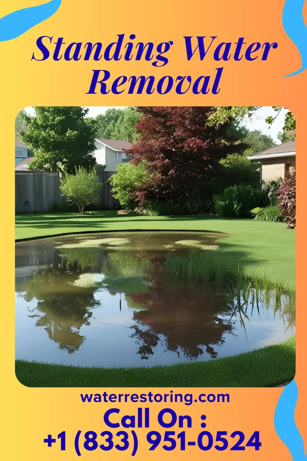 Standing Water Removal in Miami, TX
